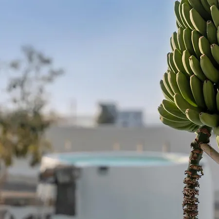 Oasis Samuel * Garachico (Tenerife)