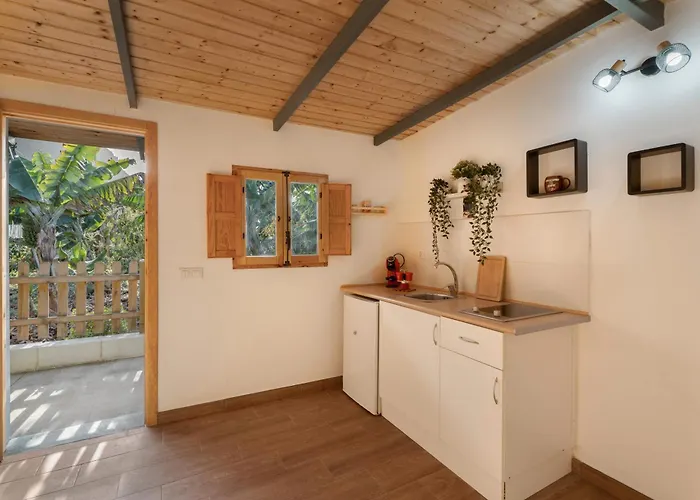 Oasis Samuel Гарачико