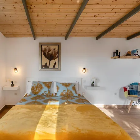 Oasis Samuel * 加拉奇科