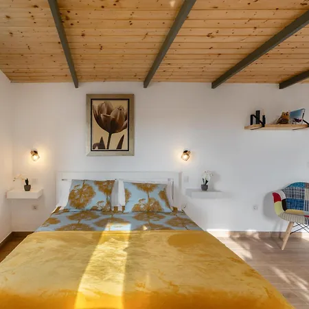 Oasis Samuel Villa